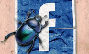 Away Pest Control Facebook Page